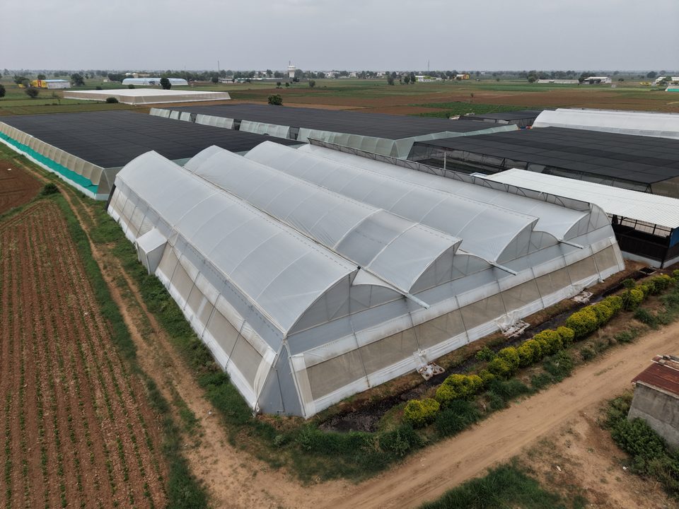 Aerial view of an Avishkar Agribiz naturally ventilated polyhouse complex