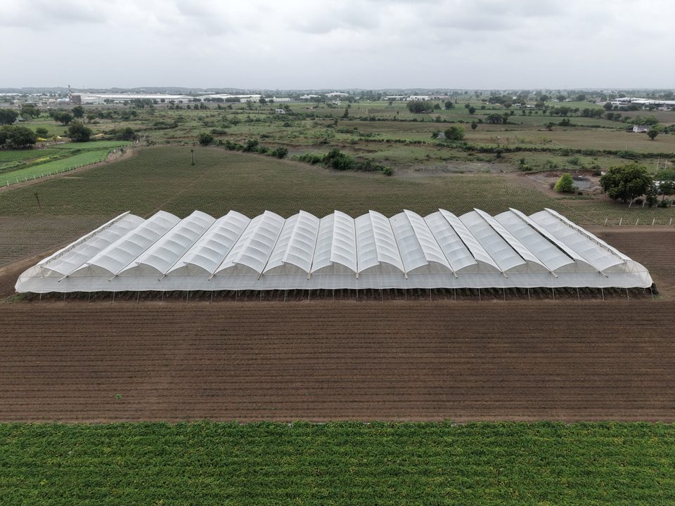 Sawtooth greenhouse range built by Avishkar Agribiz, from the air