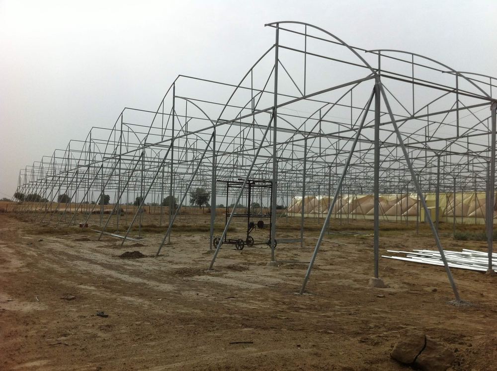 Greenhouse project by Avishkar Agribiz Pvt. Ltd.