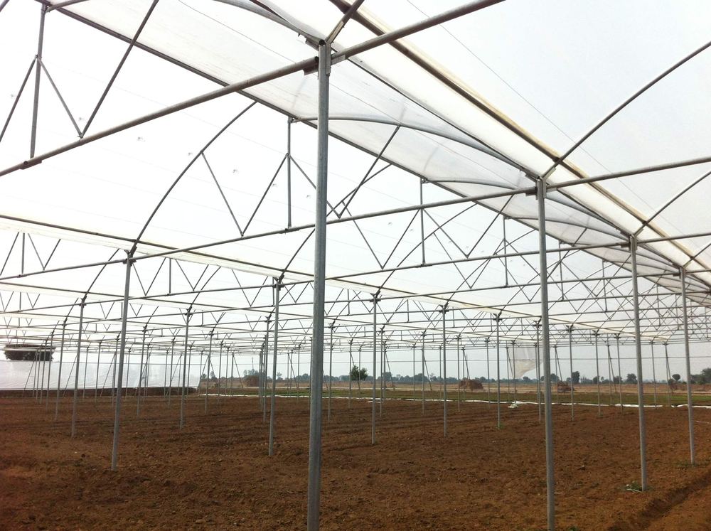 Greenhouse project by Avishkar Agribiz Pvt. Ltd.