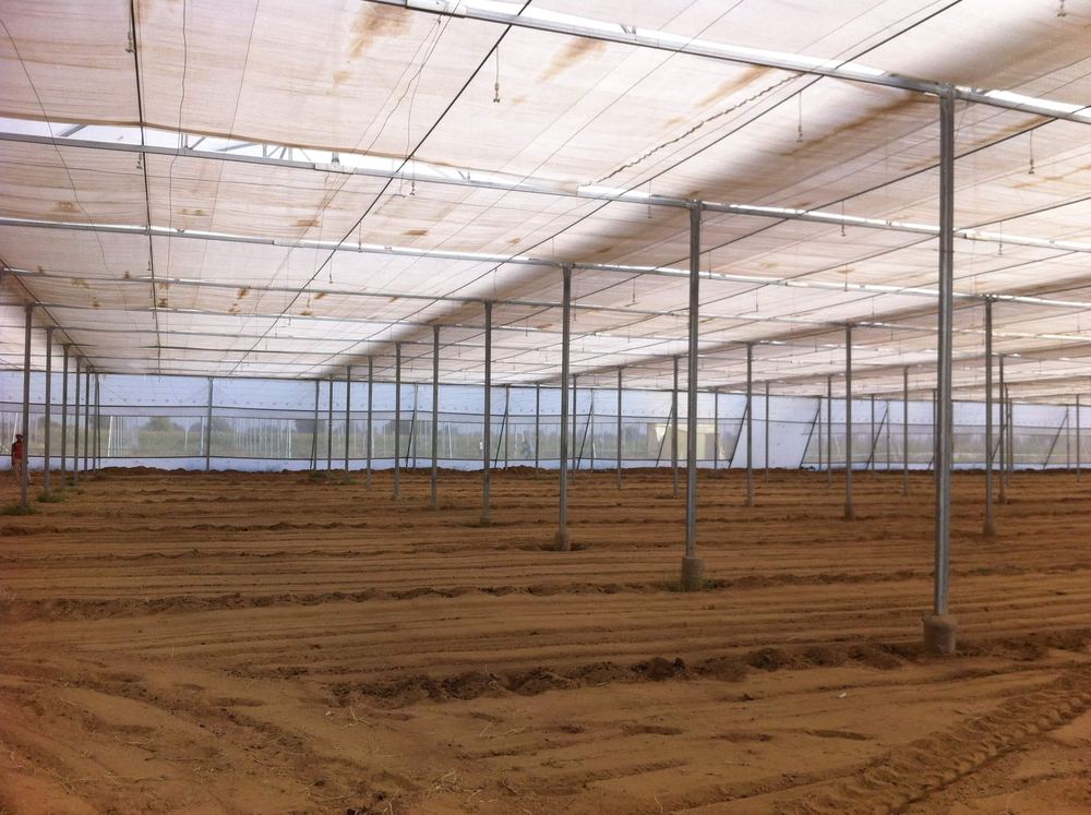 Greenhouse project by Avishkar Agribiz Pvt. Ltd.