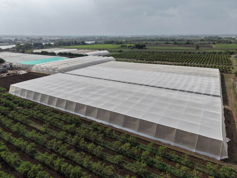 Greenhouse project by Avishkar Agribiz Pvt. Ltd.