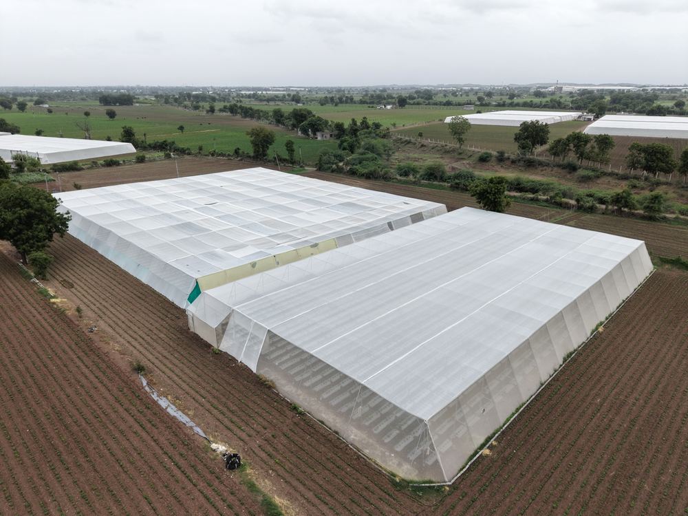 Greenhouse project by Avishkar Agribiz Pvt. Ltd.