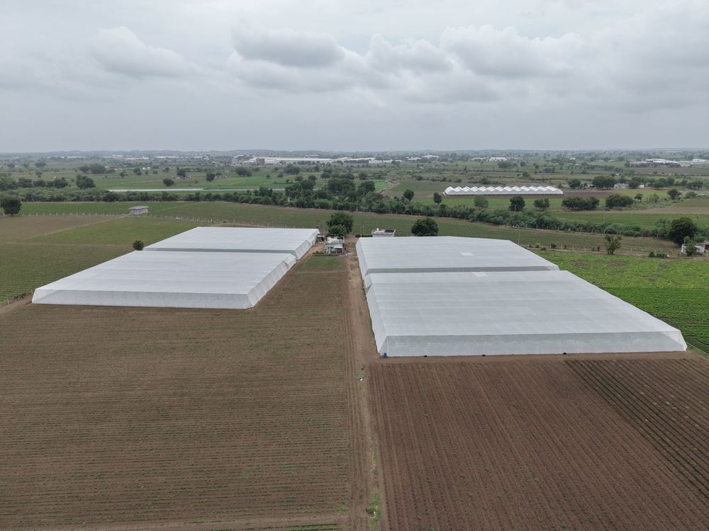 Greenhouse project by Avishkar Agribiz Pvt. Ltd.