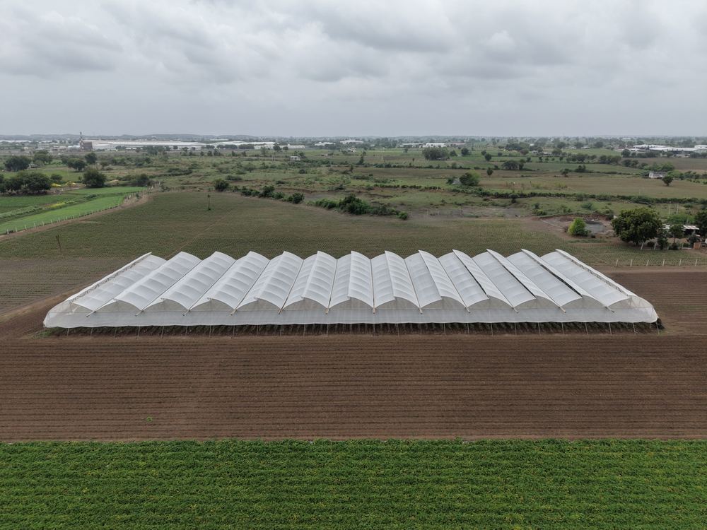 Greenhouse project by Avishkar Agribiz Pvt. Ltd.